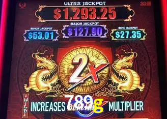 Apostas Esportivas na 789g: Um Guia Completo